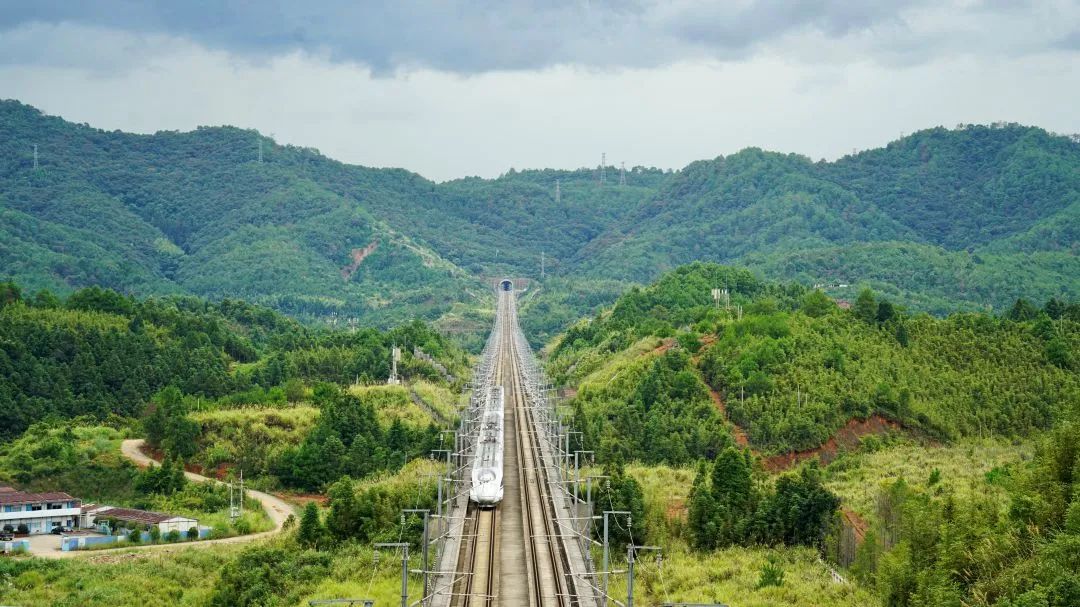 暑运期间,列车疾驰在合福高铁上.姜渊厚 摄