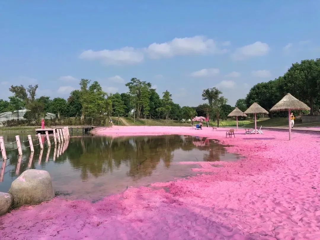 美丽心情(99寻梦园)