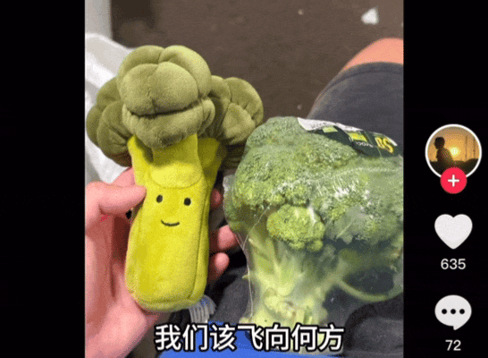 图源@谢斯卡尼尼