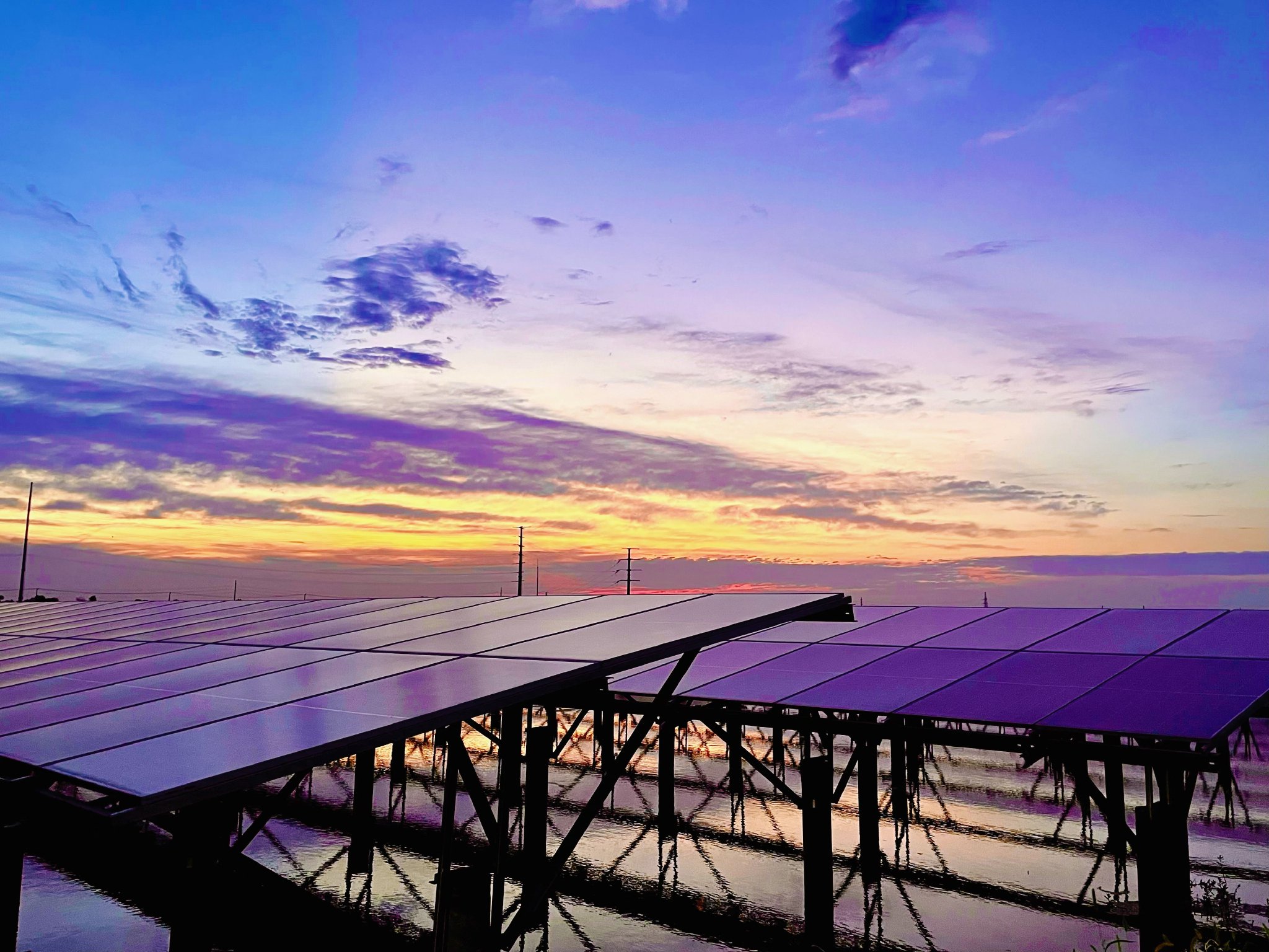 上海崇明港西渔光互补光伏发电项目全容量并网