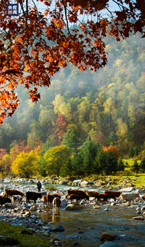 伊春大箐山县朗乡风光