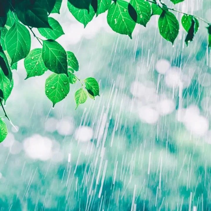西安小到中雨,局地大雨!还有这些预警要注意→|山洪|多云|陕南|阵雨|小雨_新浪新闻