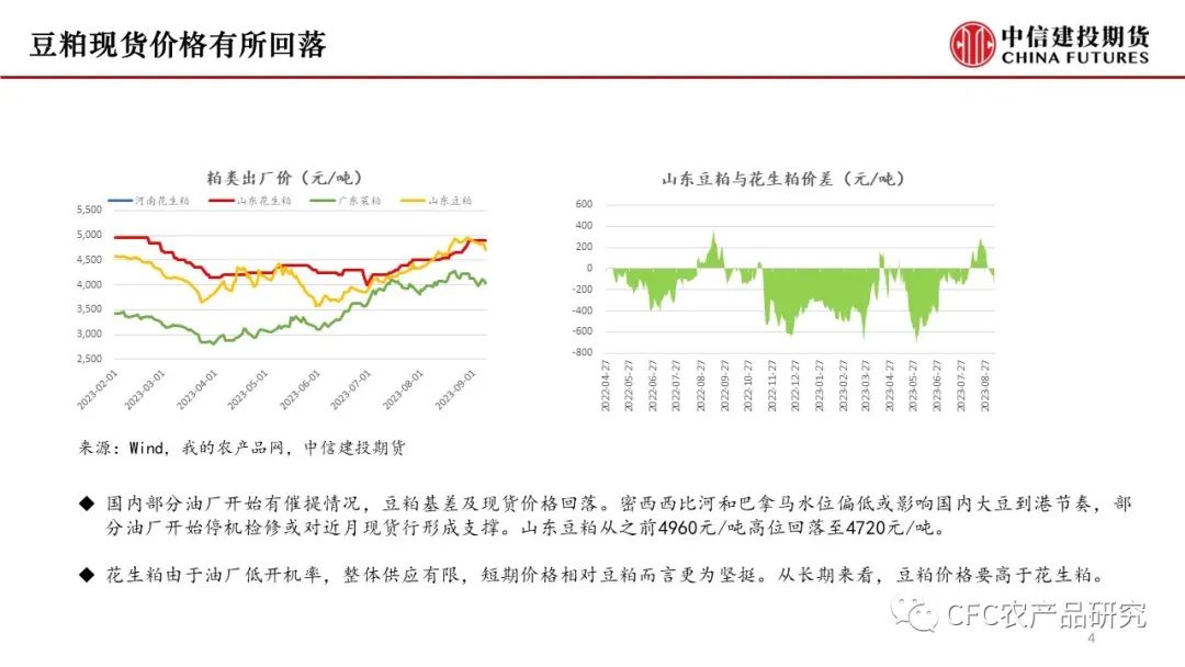 【花生双周报】新米逐步上量，现货压力增加