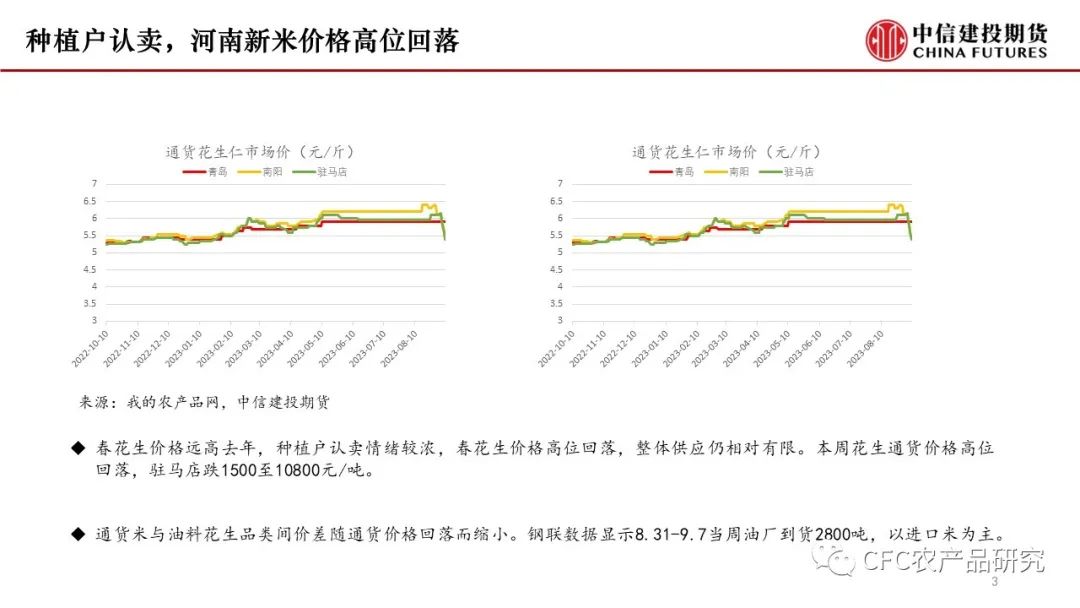 【花生双周报】新米逐步上量，现货压力增加