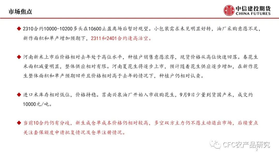 【花生双周报】新米逐步上量，现货压力增加