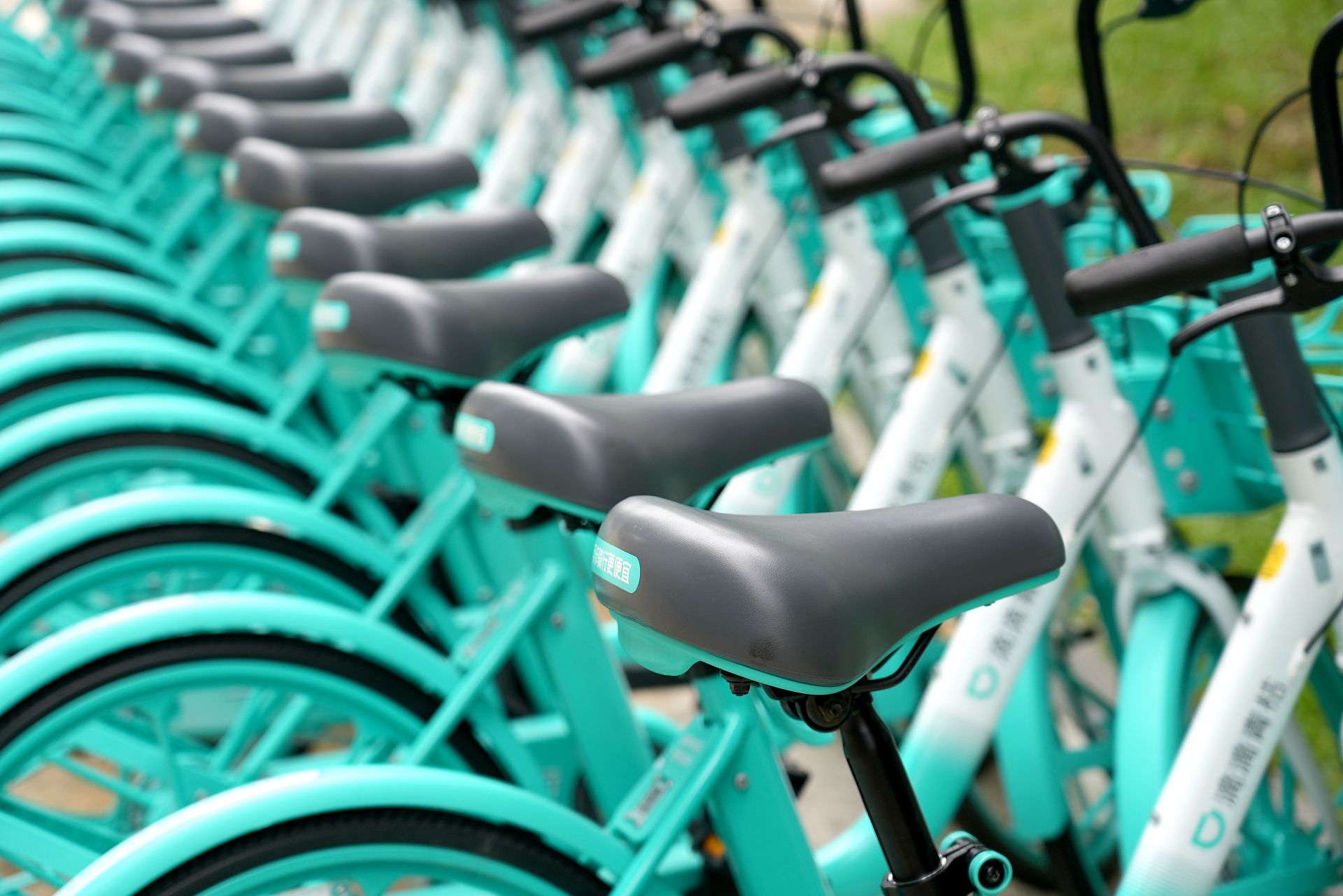 深圳共享单车上新!青桔"小灰座"来了-新浪汽车