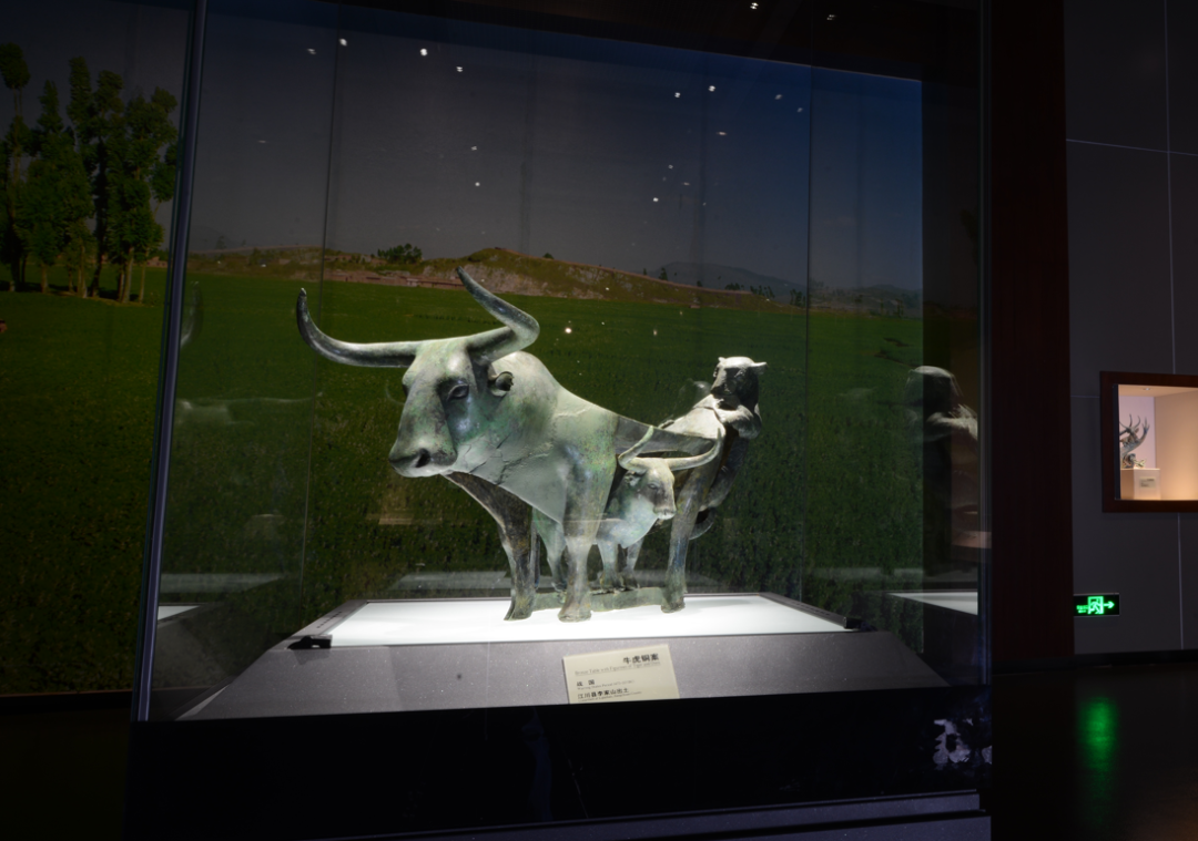 "小牛躲在大牛下,老虎咬着牛尾巴" 古滇国的牛,真牛!