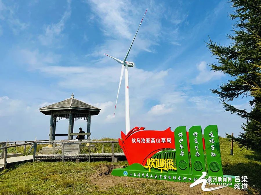 大美山西 | 岚县:高山草甸饮马池|山西省_新浪财经_新浪网