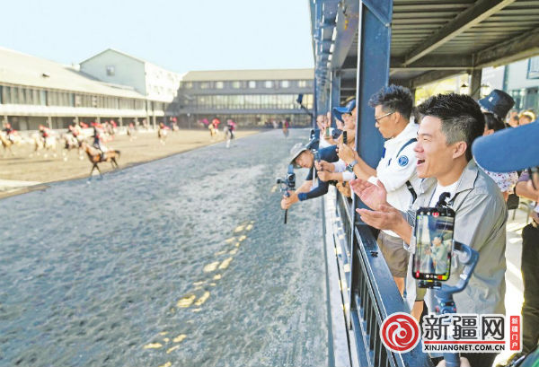 9月12日，在野马古生态园，东方甄选直播团队队员董宇辉正在直播马术表演。（全媒体记者陈岩摄)