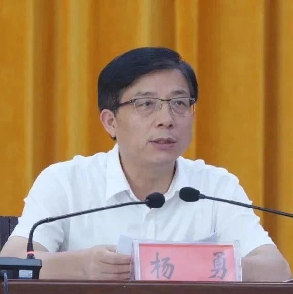 杨勇任潜江市代市长|园林|潜江市|杨勇|代市长|盛文军_新浪新闻