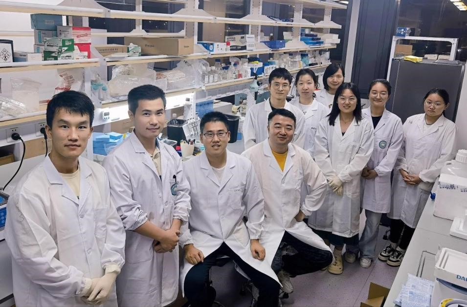 科研团队供图