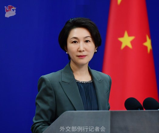 毛宁 资料图 图源:外交部网站