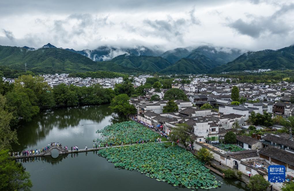 向日葵视频官方下载