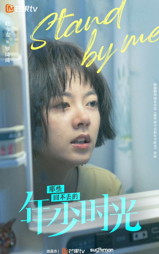 上门龙婿叶辰免费全文阅读