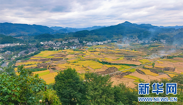 开阳县禾丰乡演绎美丽乡村"变奏曲"