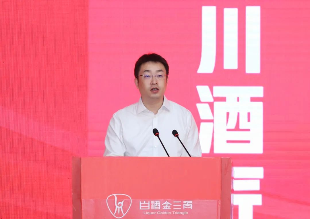 宜宾市人民政府副市长,宜宾高新区党工委书记 薛庆