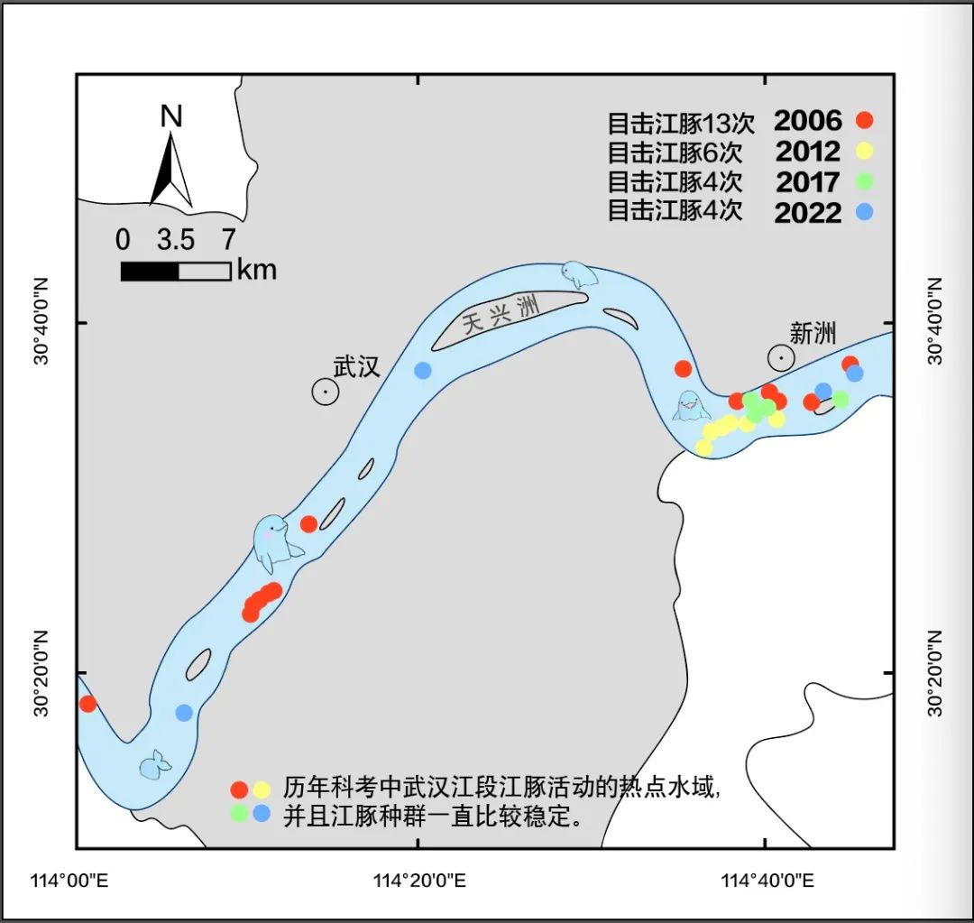 武汉江段江豚数量与分布图   中科院水生所提供9月14日上午,长江江豚