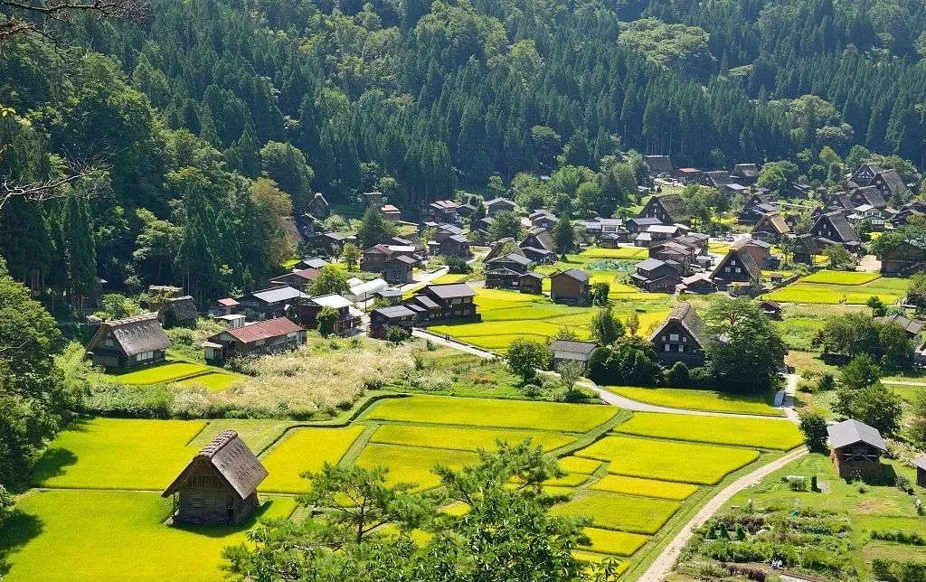 我在日本收破烂,年入1000万