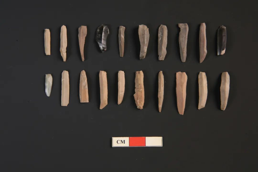 水洞沟遗址第12地点出土的细石叶