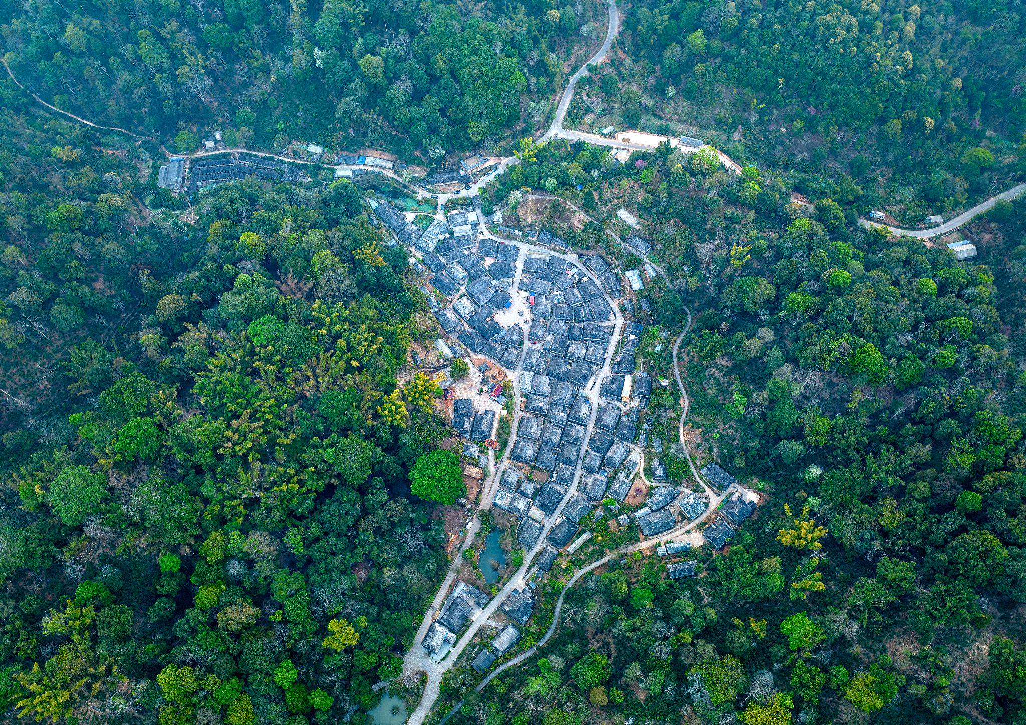"普洱景迈山古茶林"列入世界遗产,历经13年申遗|世界遗产_新浪财经