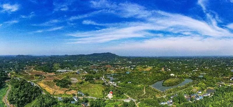 西来村.&nbsp;市农业农村委供图