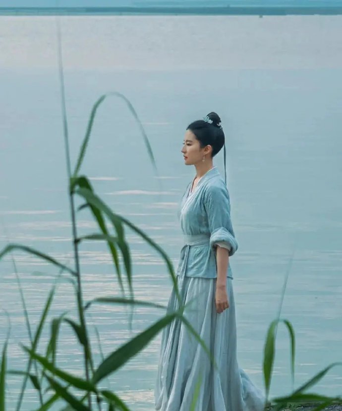 蒹葭苍苍,白露为霜。所谓伊人,在水一方。 ——《诗经·蒹葭》|蒹葭|诗经·蒹葭_新浪新闻