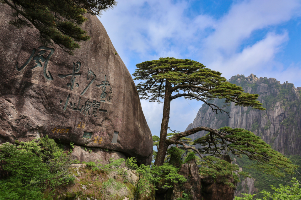 黄山迎客松.新华社发(樊成柱 摄)