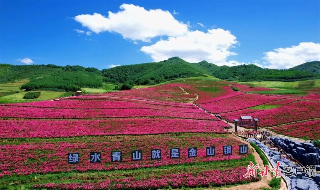 &nbsp; &nbsp; &nbsp; &nbsp;古浪县千亩花海,美了山川,富了百姓.