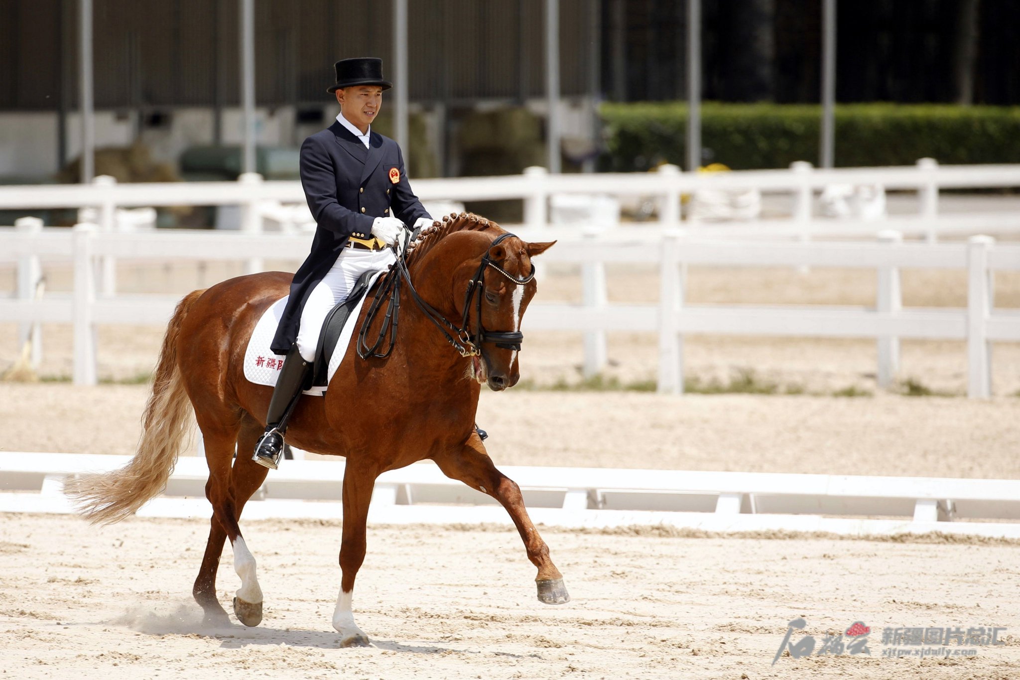 中国马术队盛装舞步项目的新疆骑手兰超与他的爱马leone.