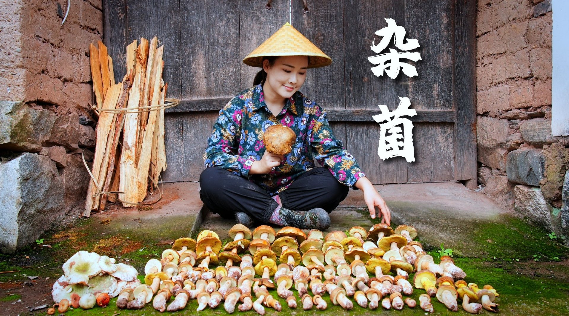 能让我凌晨4点起床的,只有上山找菌子了!_新浪新闻