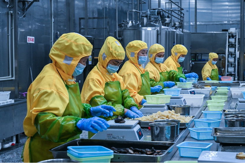 8月24日，在福建省福清市元洪国际食品产业园，工人在水产品预制菜加工生产线作业。新华社记者 周义 摄