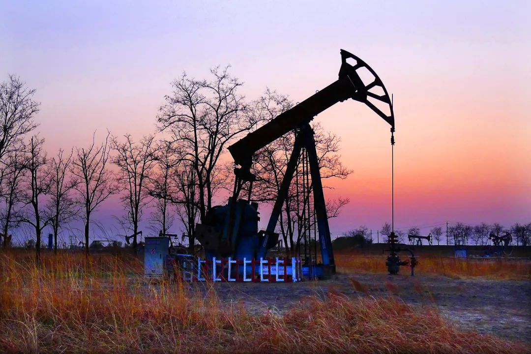 &nbsp;山东东营,胜利油田 图源:图虫创意