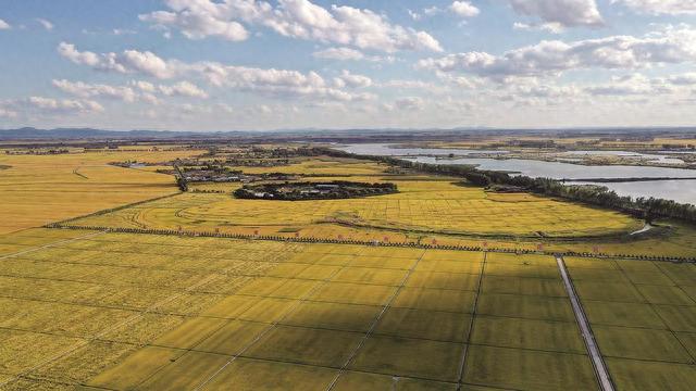 这是万昌镇水稻田(9月12日摄,无人机照片).