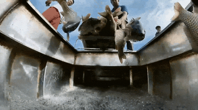 图源：新疆日报