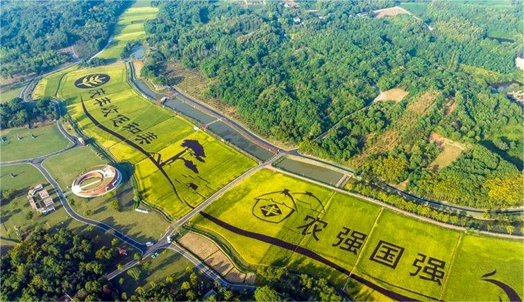 跟着节气去打卡丨第九站,皖风徽韵,魅力芜湖|芜湖市_新浪财经_新浪网