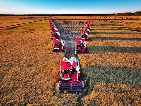 大粮仓秋收风景如画|北大荒_新浪财经_新浪网