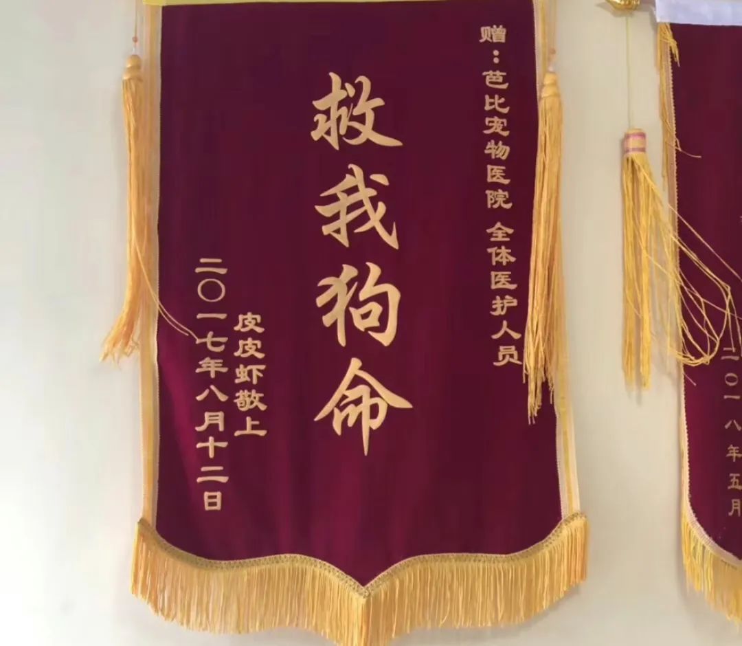 字母哥罰球準(zhǔn)備時(shí)間過長(zhǎng) 哈登再度無法攤手