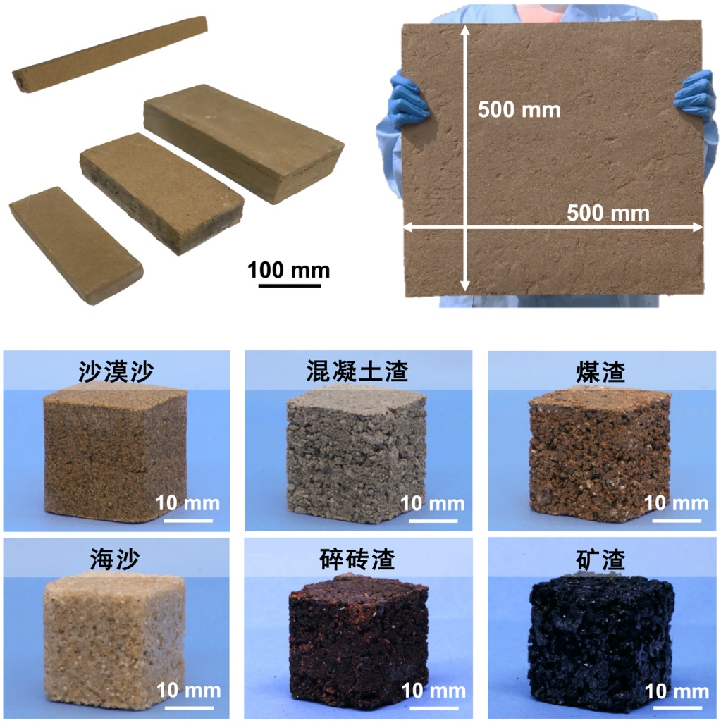 图1：利用沙漠沙、海沙、矿渣等不同固体颗粒均可构筑高强度仿生低碳新型建筑材料