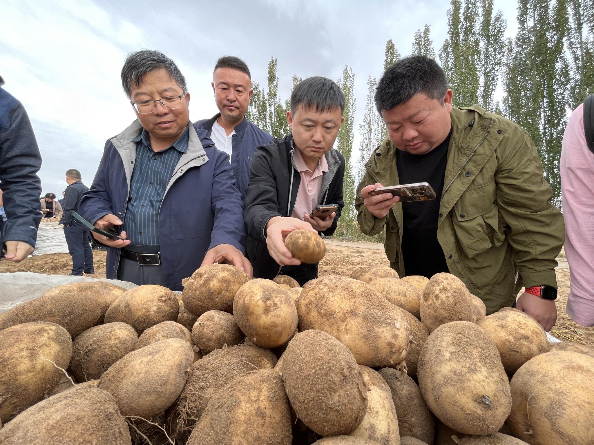 亩产过万(亩产过万斤露地蔬菜)