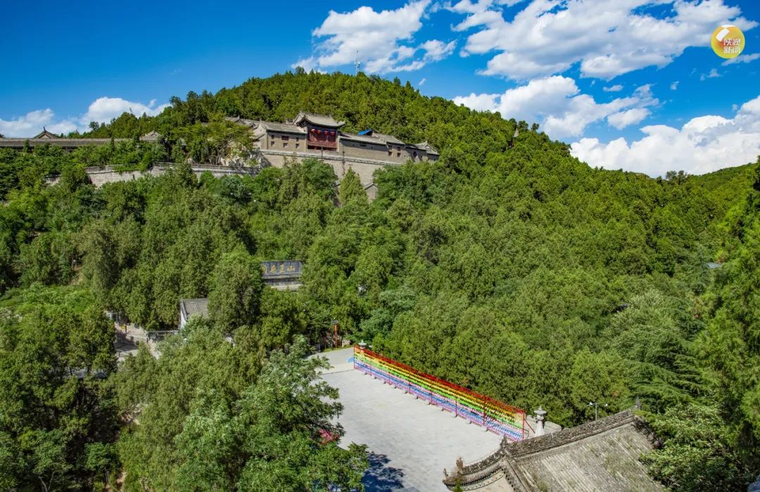 铜川市耀州区药王山管理处药王山侧柏古树群