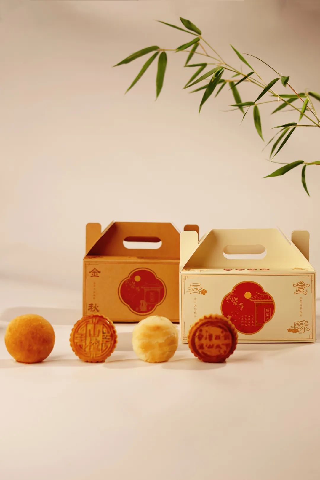 云南大学影像工作室 供图