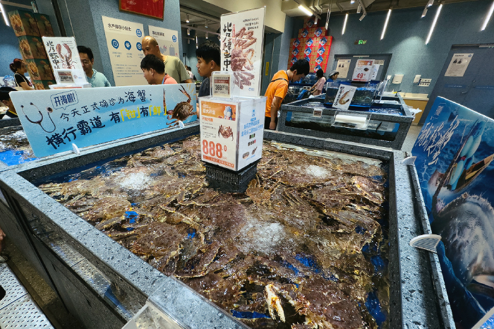 图源：奇偶派拍摄