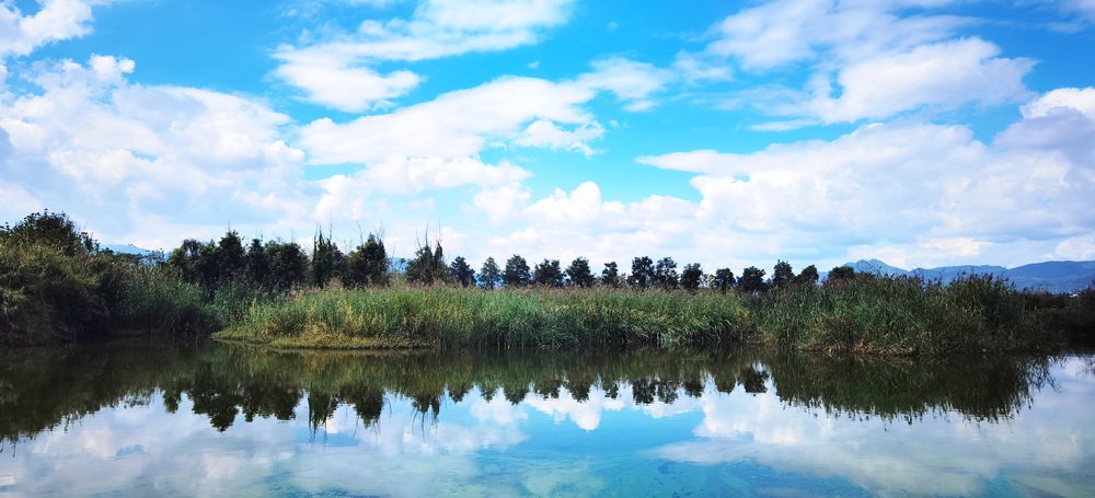 云南昆明滇池草海秋色.科技日报记者 赵汉斌 摄