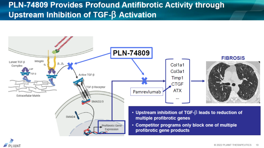 bexotegrast(pln-74809)是一种口服小分子αvβ6与αvβ1整合素双重