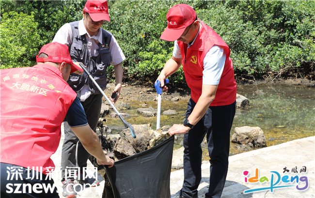 大鹏新区南澳开展“绿美南澳，守护生态红树林”清洁活动