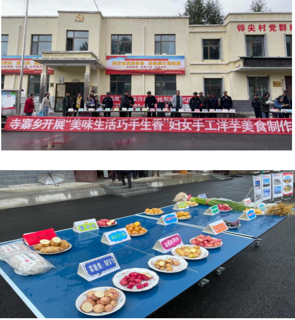 青海省西宁市湟源县寺寨乡土豆大丰收活动。受访单位供图