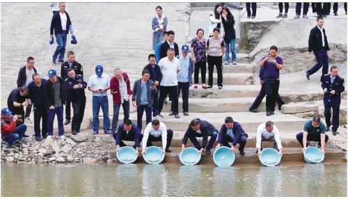 　　“我在长江有条鱼”2023年赤水河圆口铜鱼增殖放流活动现场。　资料图