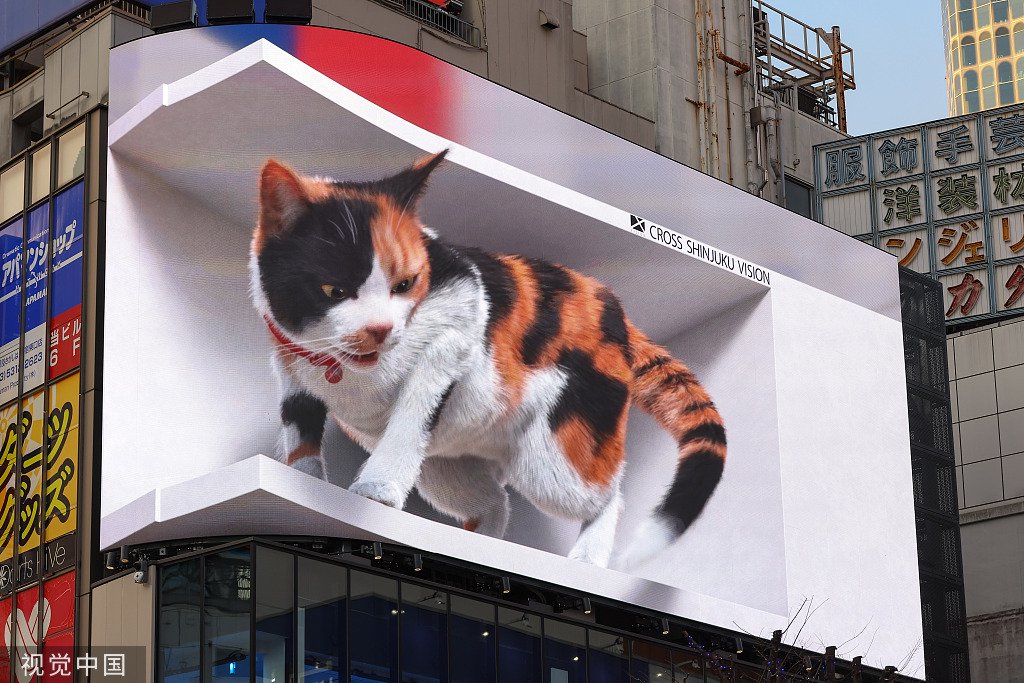 日本东京新宿街头的裸眼3d巨大猫咪 图片来源:视觉中国