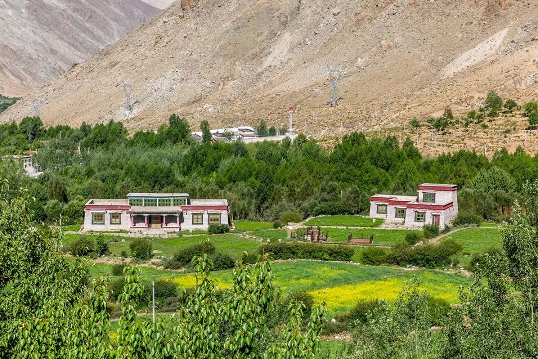 顺义融媒邀您走进"文香故里"尼木县_新浪财经_新浪网