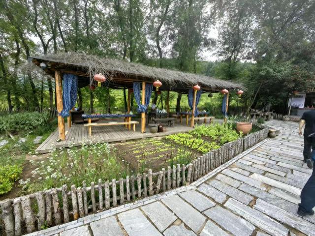 锦江酒店深化文旅融合打造开云体育- 开云体育官方网站- AP